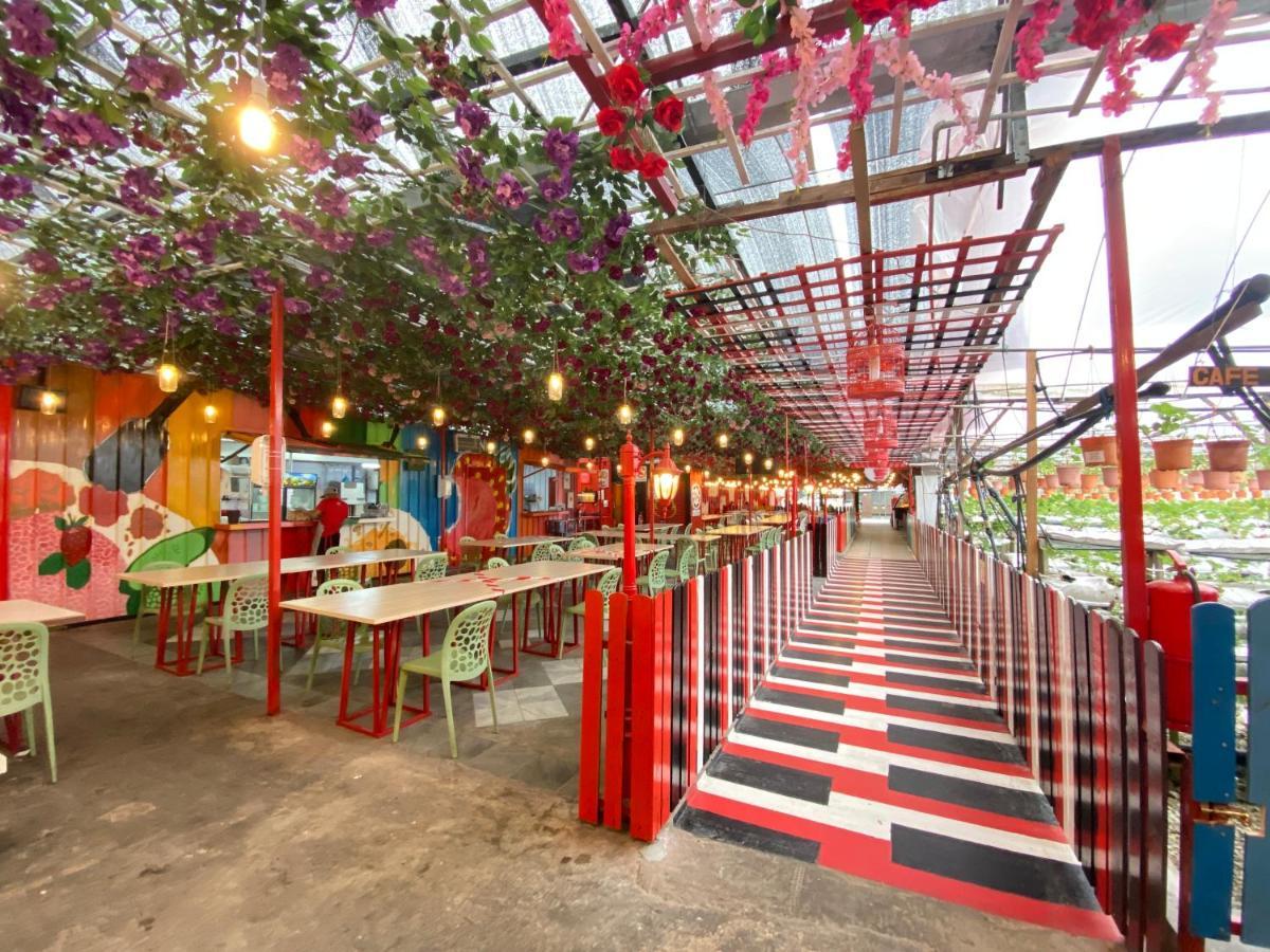 Aiza Homestay Opposite Abang Strawberry Taman Sedia Tanah Rata Bagian luar foto